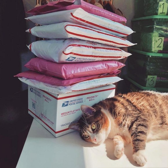 "Like" to Save My Closet - Picture 9 of 13